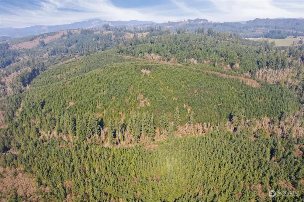 0 Cedar Mist Road Amboy, WA 98601