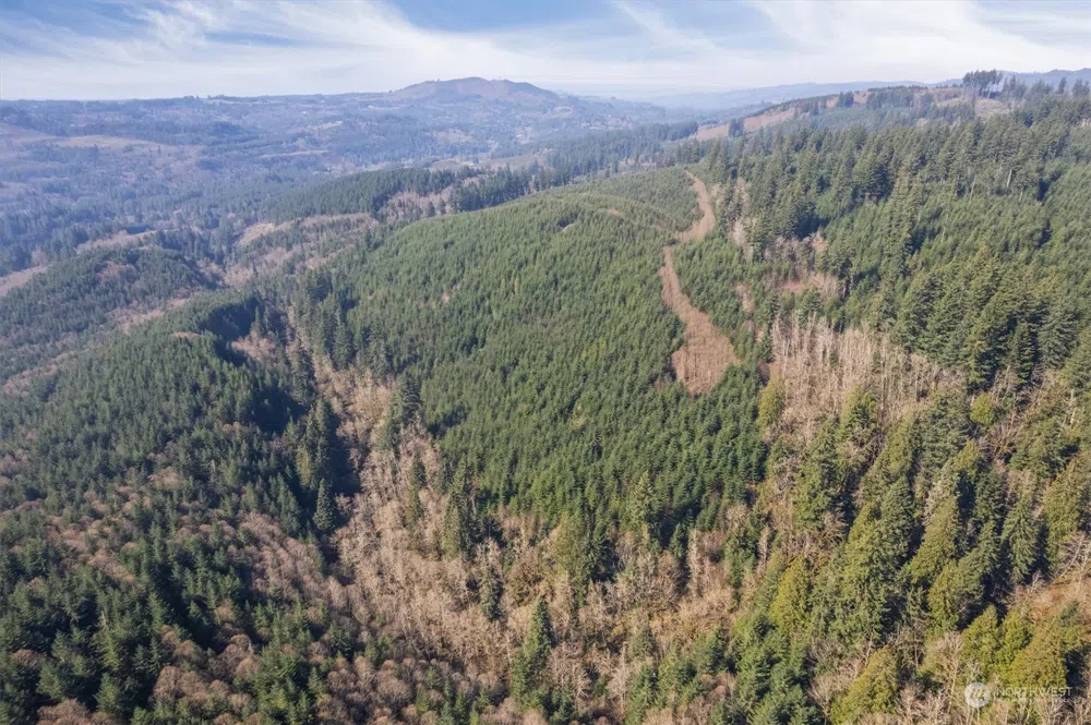 0 Cedar Mist Road Amboy, WA 98601