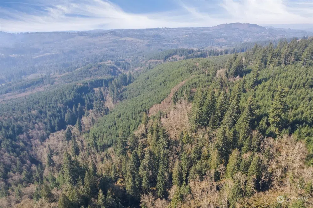 0 Cedar Mist Road Amboy, WA 98601