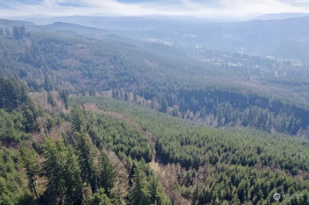 0 Cedar Mist Road Amboy, WA 98601