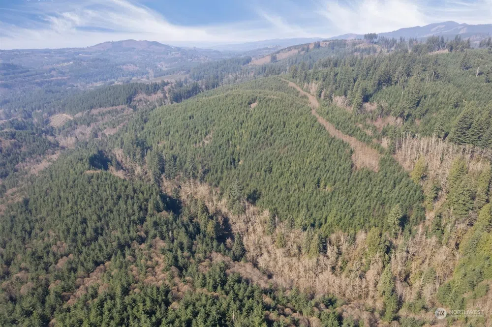 0 Cedar Mist Road Amboy, WA 98601