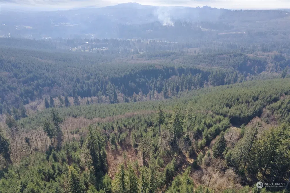 0 Cedar Mist Road Amboy, WA 98601