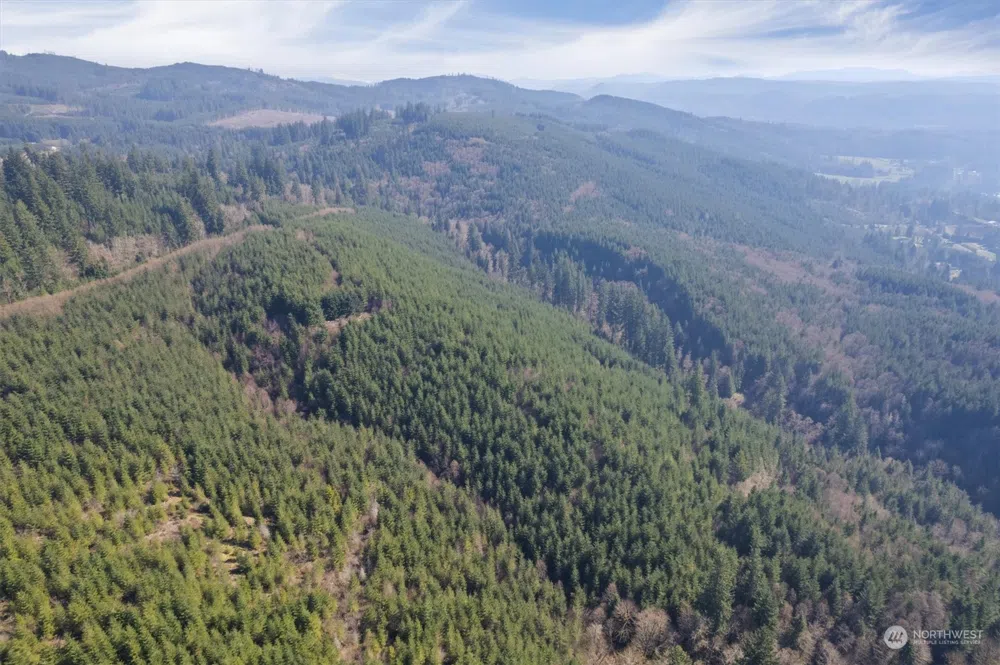 0 Cedar Mist Road Amboy, WA 98601