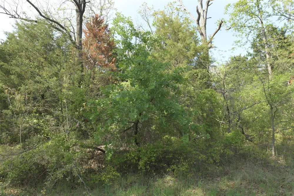 1366 Utopia Road Tool, TX 75143