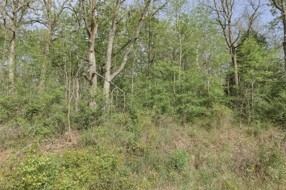 1364 Utopia Road Tool, TX 75143