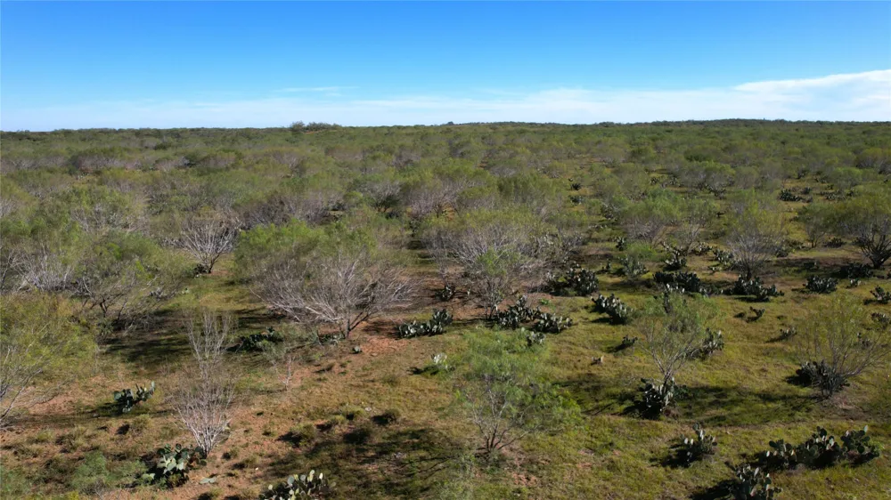 1913 County Road 3000 Pearsall, TX 78061