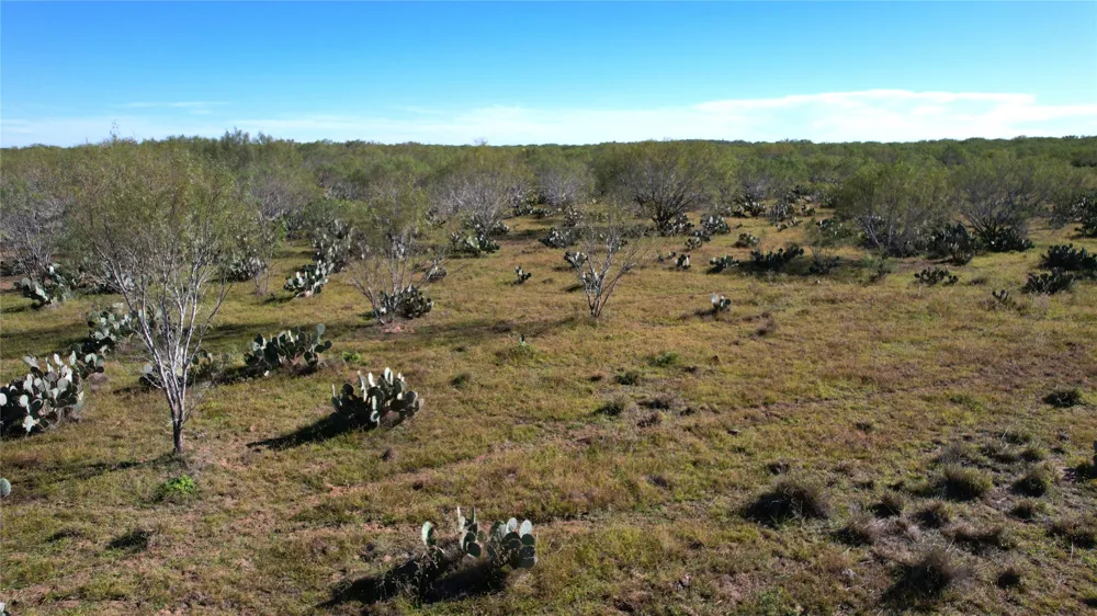 1913 County Road 3000 Pearsall, TX 78061