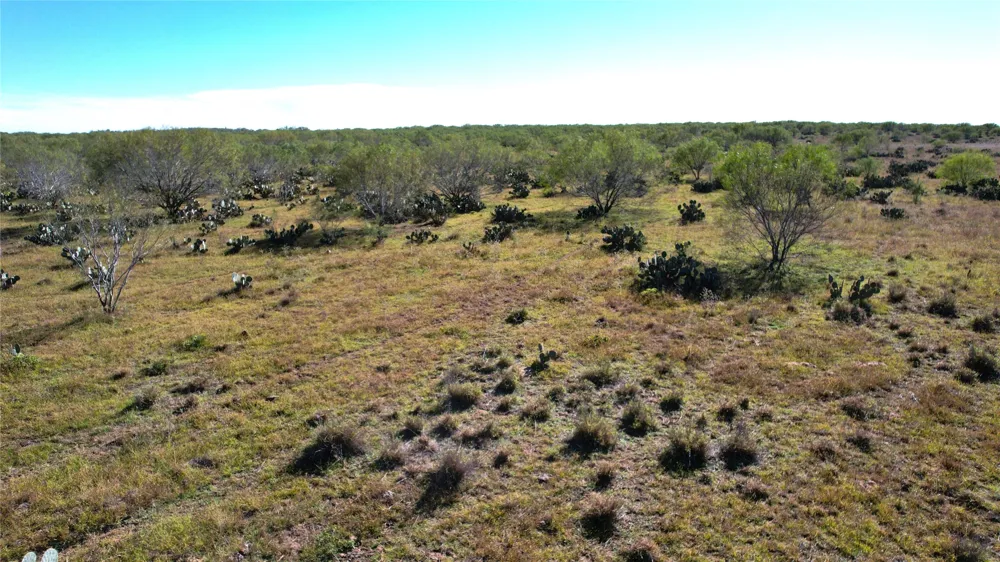 1913 County Road 3000 Pearsall, TX 78061