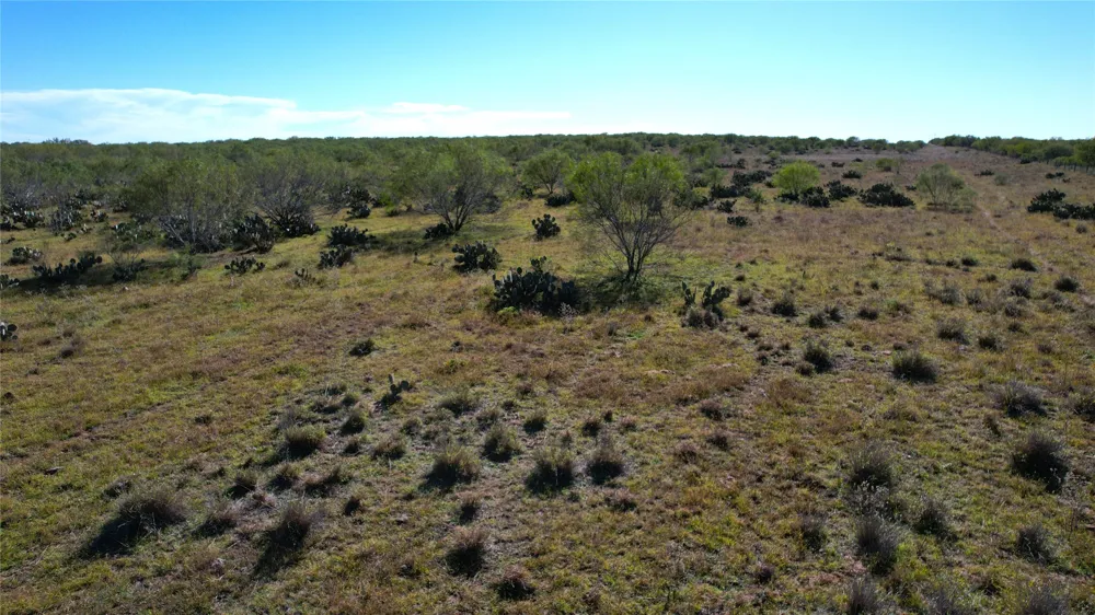1913 County Road 3000 Pearsall, TX 78061