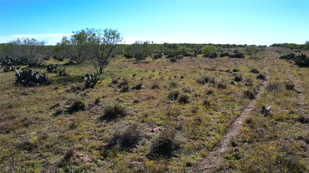 1913 County Road 3000 Pearsall, TX 78061