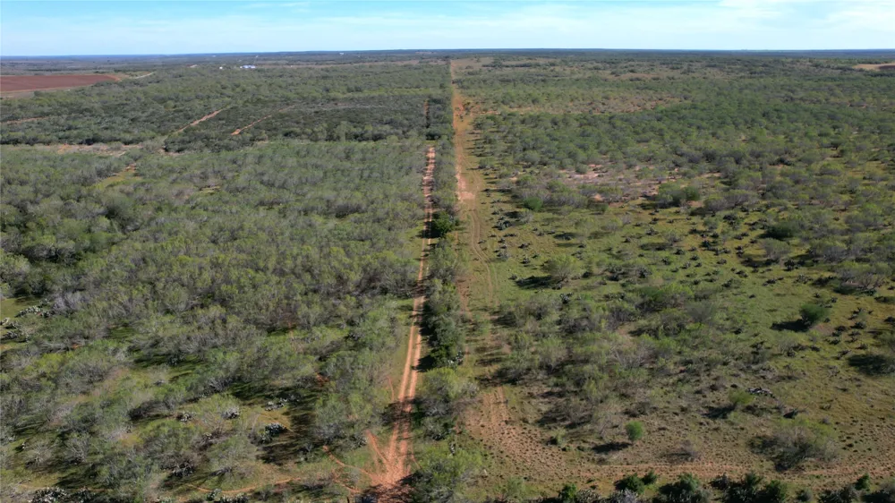 1913 County Road 3000 Pearsall, TX 78061