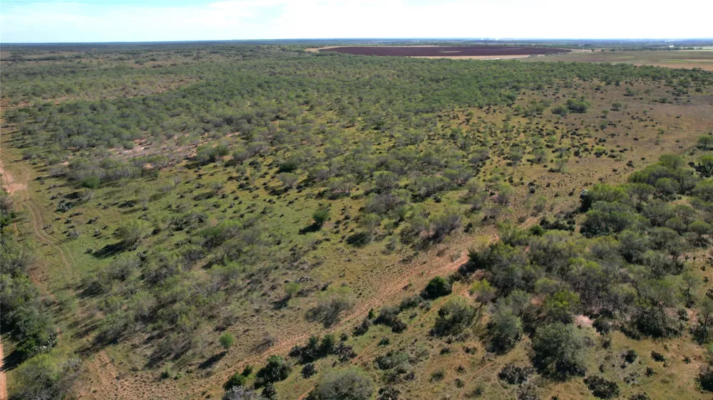 1913 County Road 3000 Pearsall, TX 78061