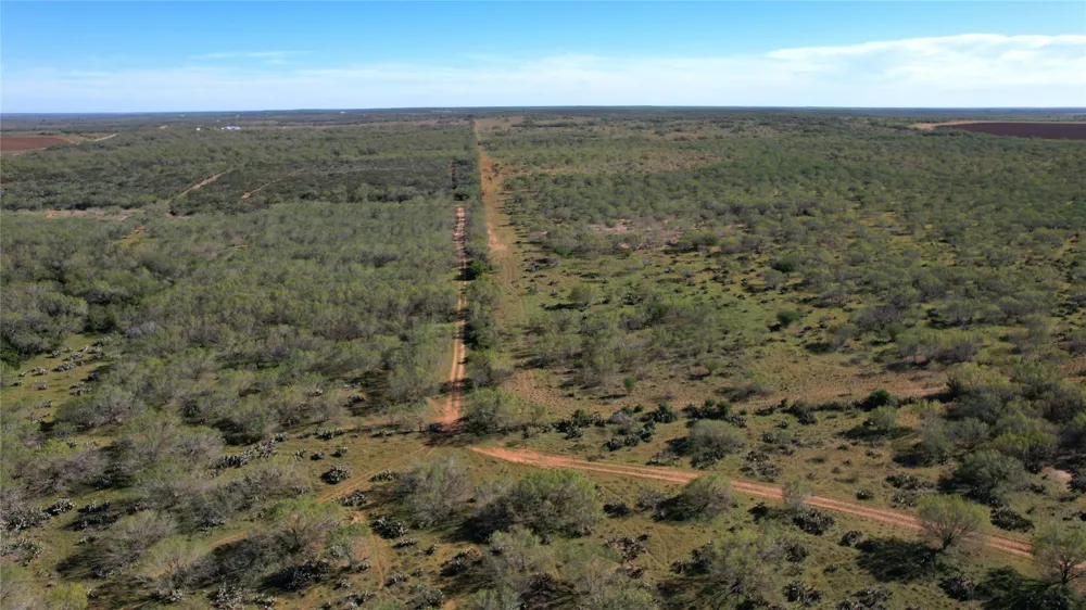 1913 County Road 3000 Pearsall, TX 78061