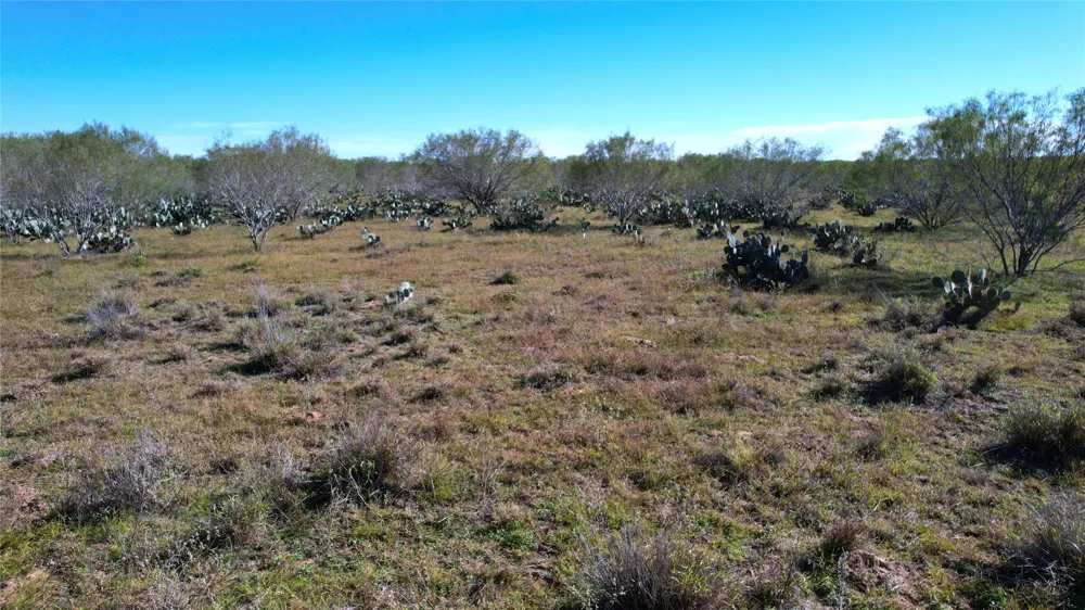 1913 County Road 3000 Pearsall, TX 78061