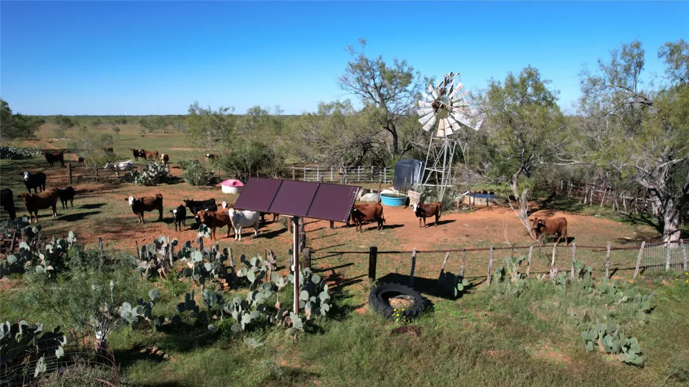 1913 County Road 3000 Pearsall, TX 78061
