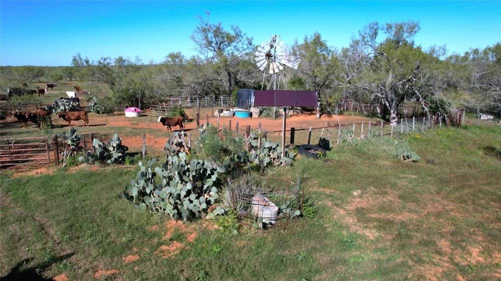 1913 County Road 3000 Pearsall, TX 78061