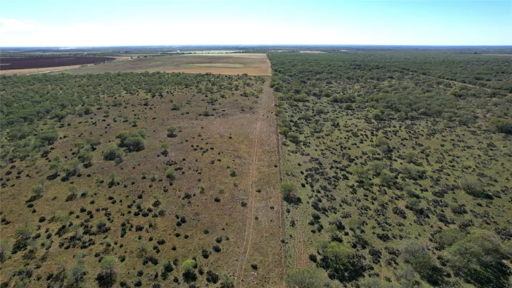 1913 County Road 3000 Pearsall, TX 78061
