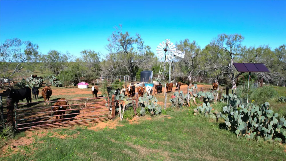 1913 County Road 3000 Pearsall, TX 78061