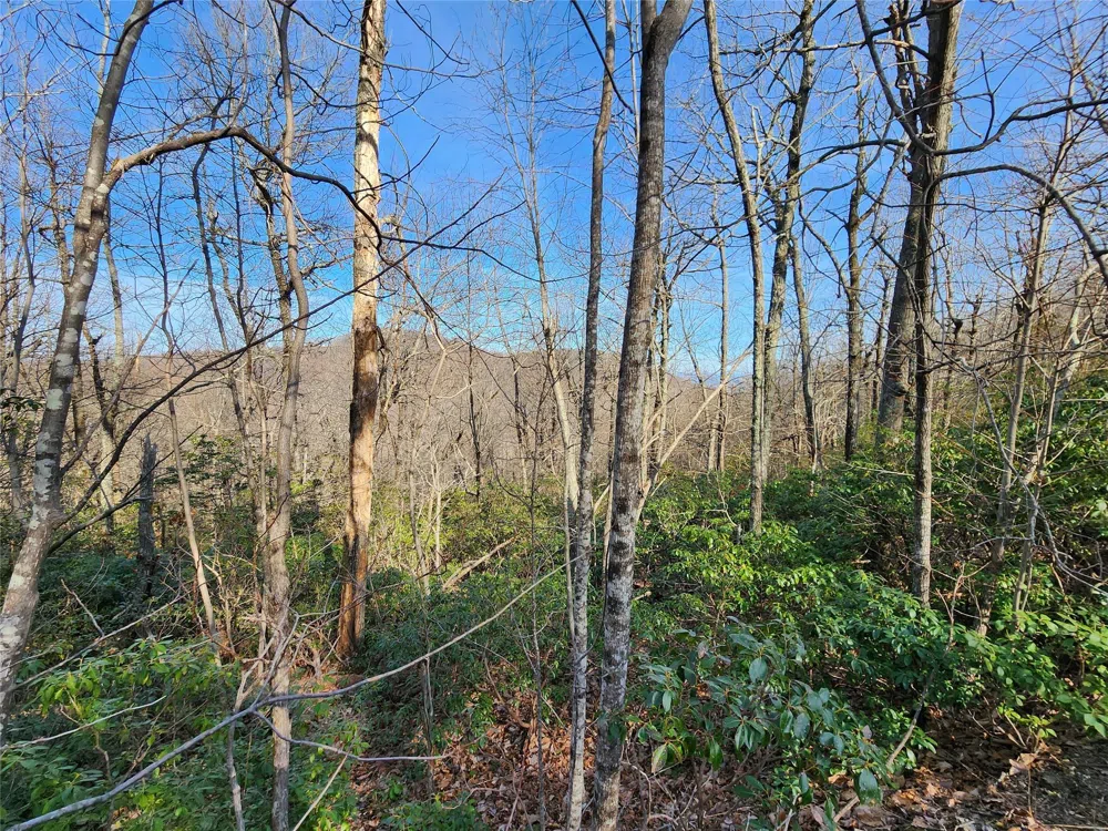 Lot 22 Sunset Ridge Drive #22 Columbus, NC 28722