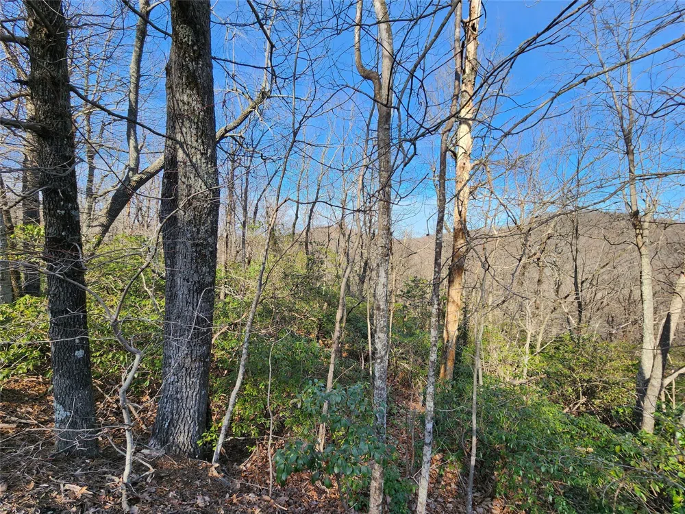 Lot 22 Sunset Ridge Drive #22 Columbus, NC 28722