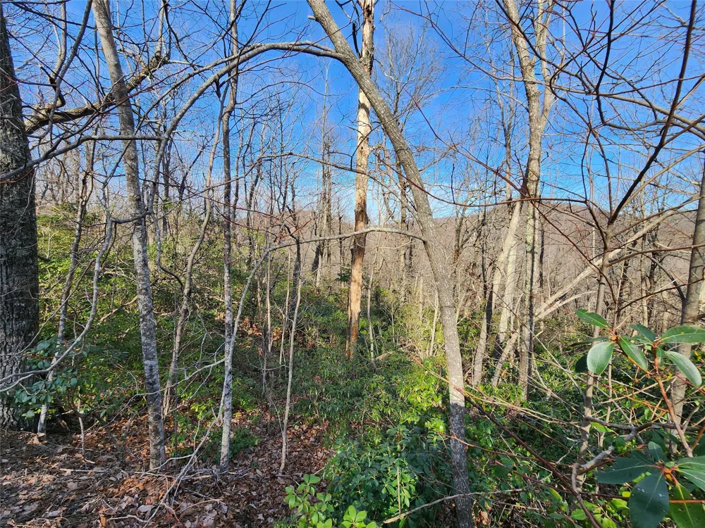 Lot 22 Sunset Ridge Drive #22 Columbus, NC 28722