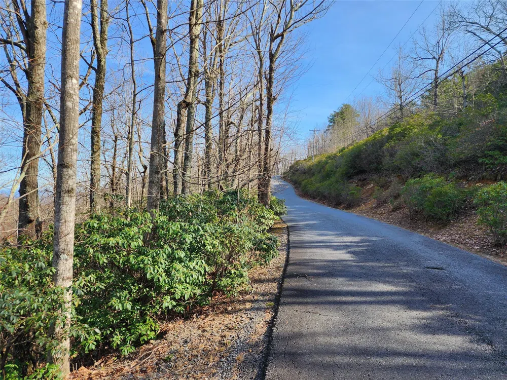 Lot 22 Sunset Ridge Drive #22 Columbus, NC 28722