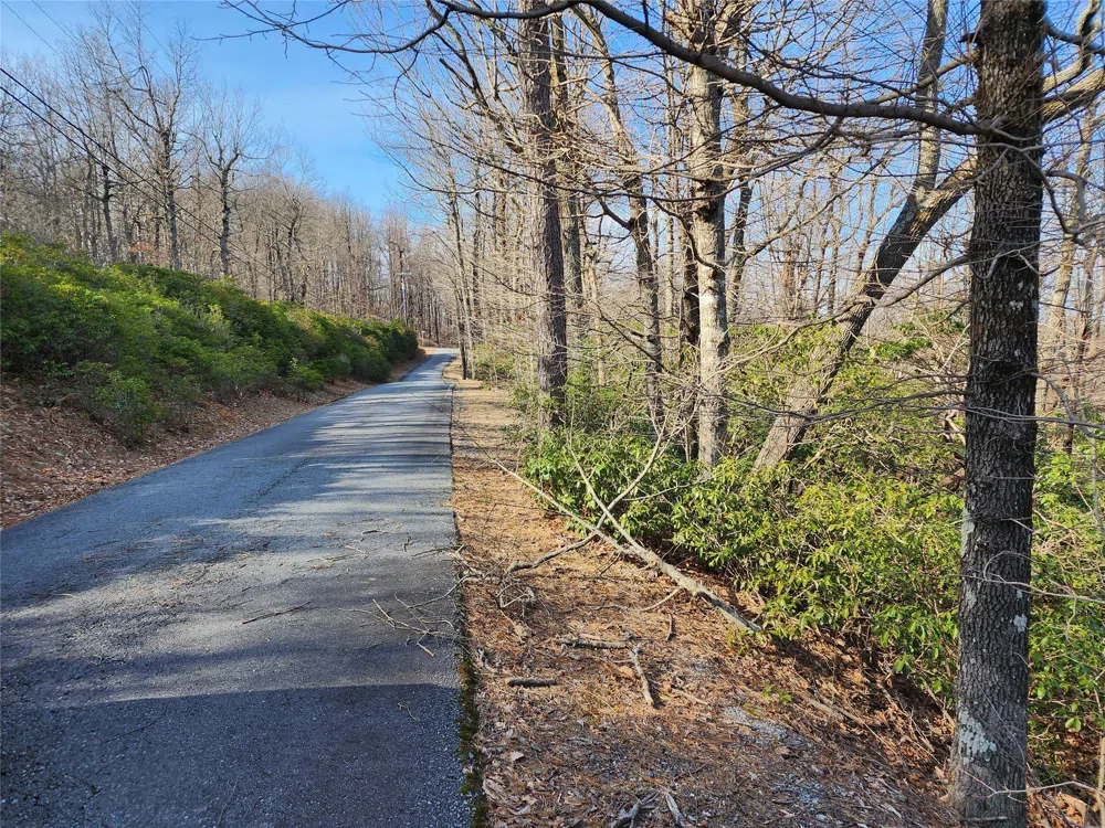 Lot 22 Sunset Ridge Drive #22 Columbus, NC 28722