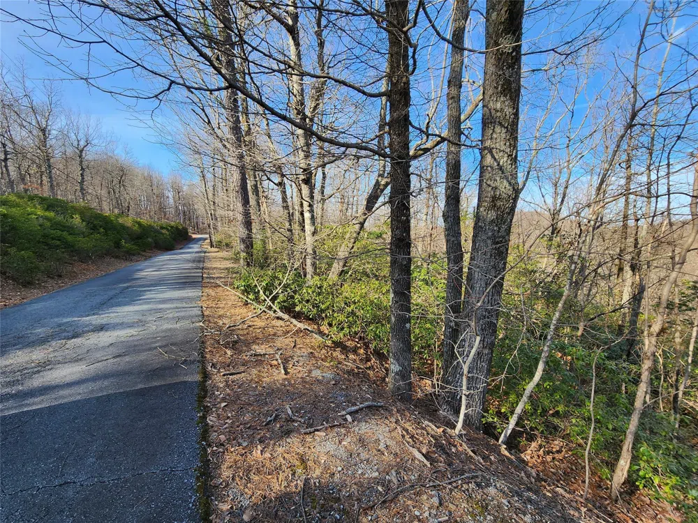 Lot 22 Sunset Ridge Drive #22 Columbus, NC 28722