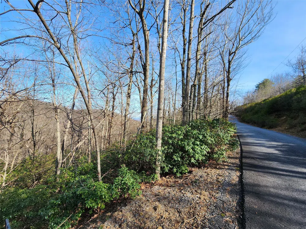 Lot 22 Sunset Ridge Drive #22 Columbus, NC 28722