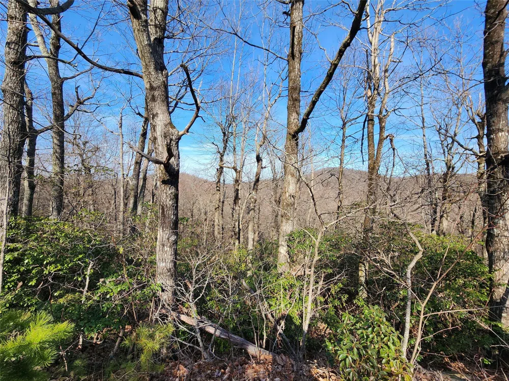 Lot 22 Sunset Ridge Drive #22 Columbus, NC 28722