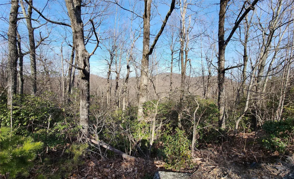 Lot 22 Sunset Ridge Drive #22 Columbus, NC 28722