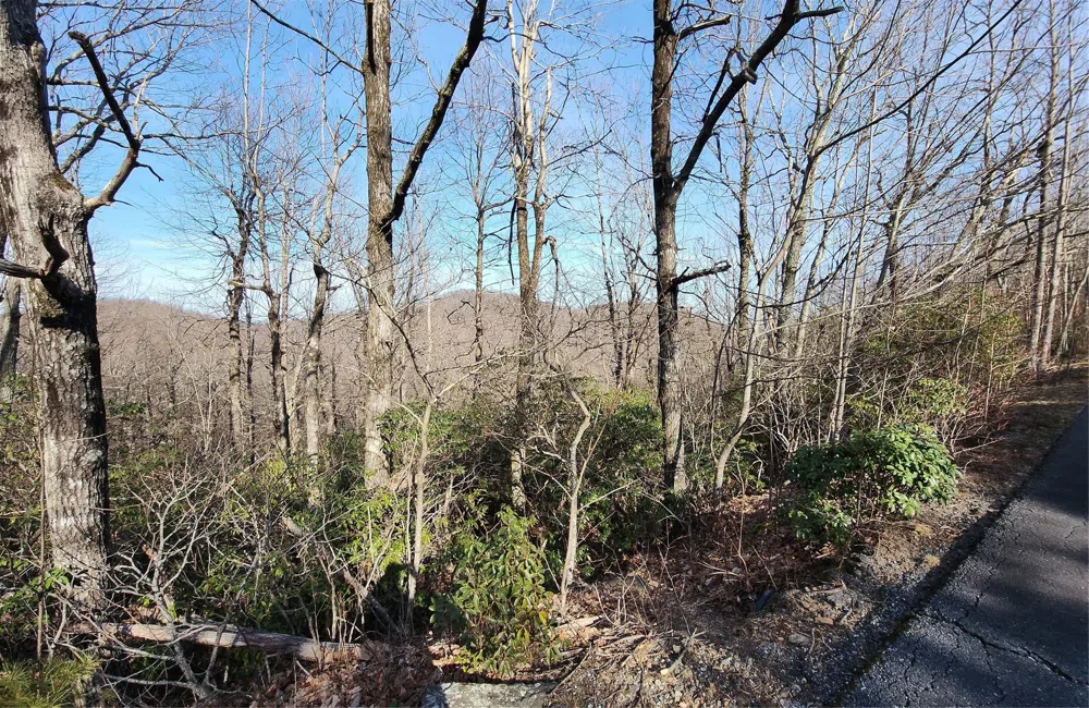 Lot 22 Sunset Ridge Drive #22 Columbus, NC 28722