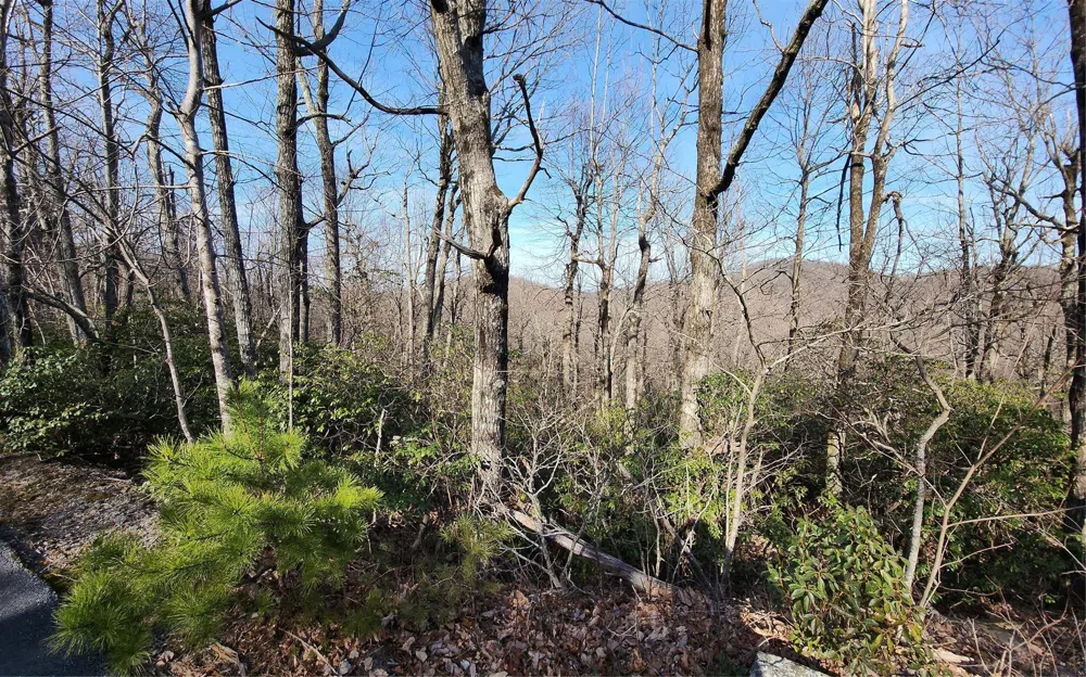 Lot 22 Sunset Ridge Drive #22 Columbus, NC 28722