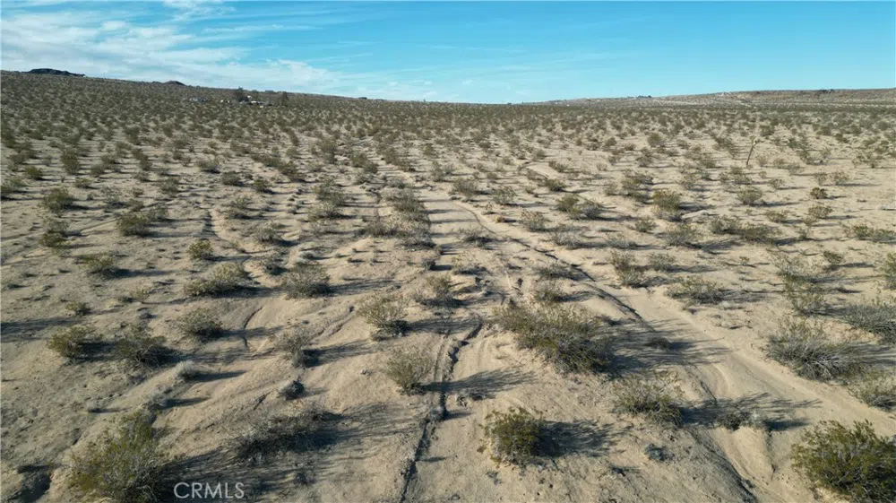 Sunny Sands Drive Joshua Tree, CA 92252