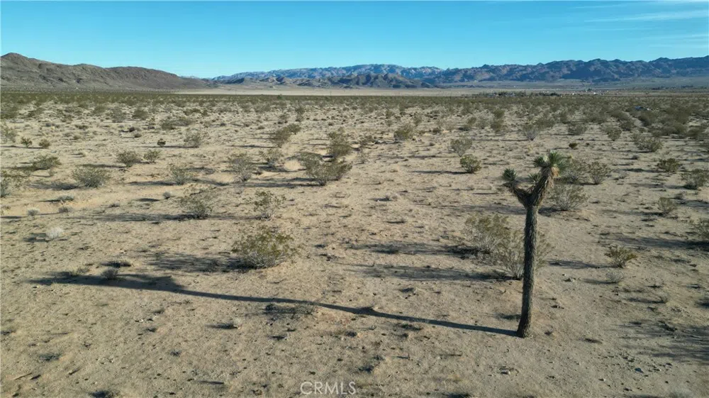 Sunny Sands Drive Joshua Tree, CA 92252