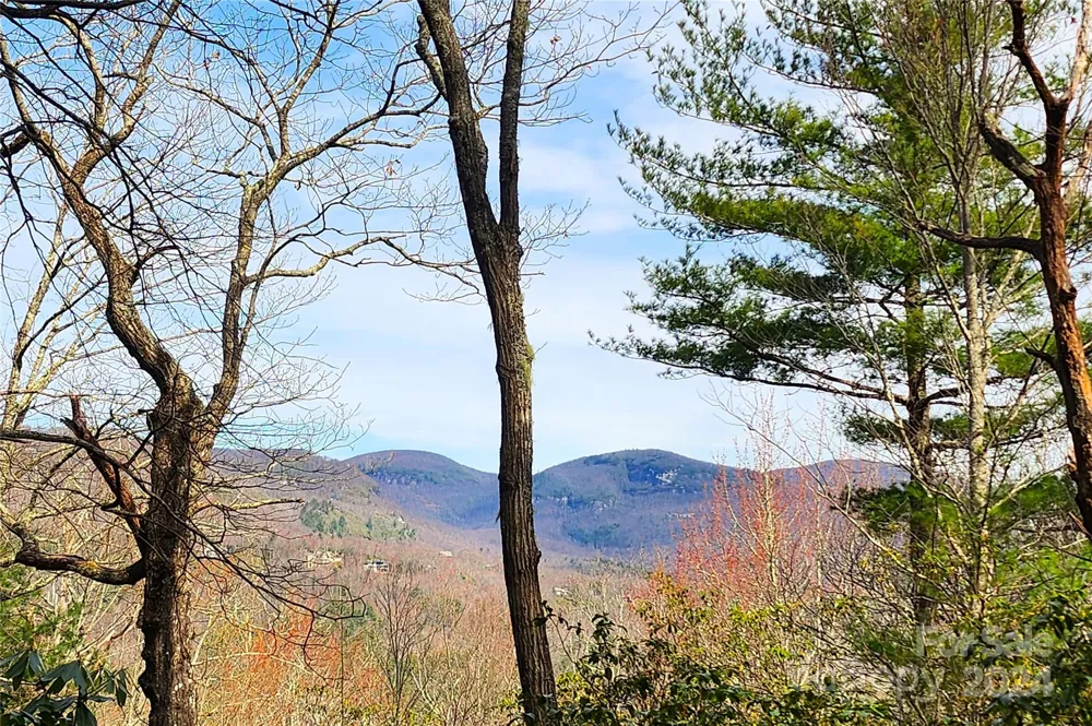 Lot 24 Lakeside Trail #24 Lake Toxaway, NC 28747