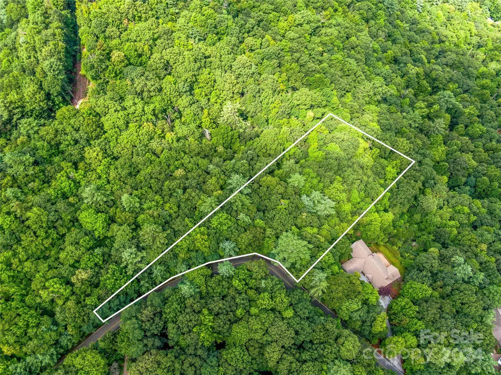 Lot 24 Lakeside Trail #24 Lake Toxaway, NC 28747