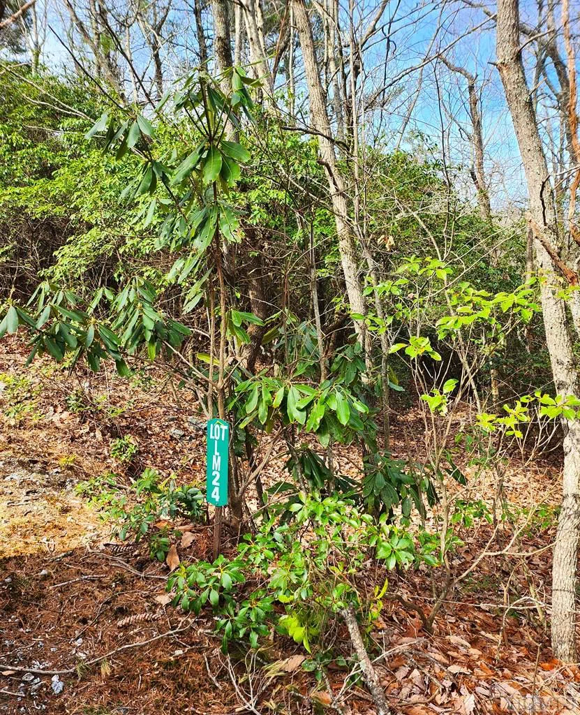 LS 24 Lakeside Trail Lake Toxaway, NC 28747