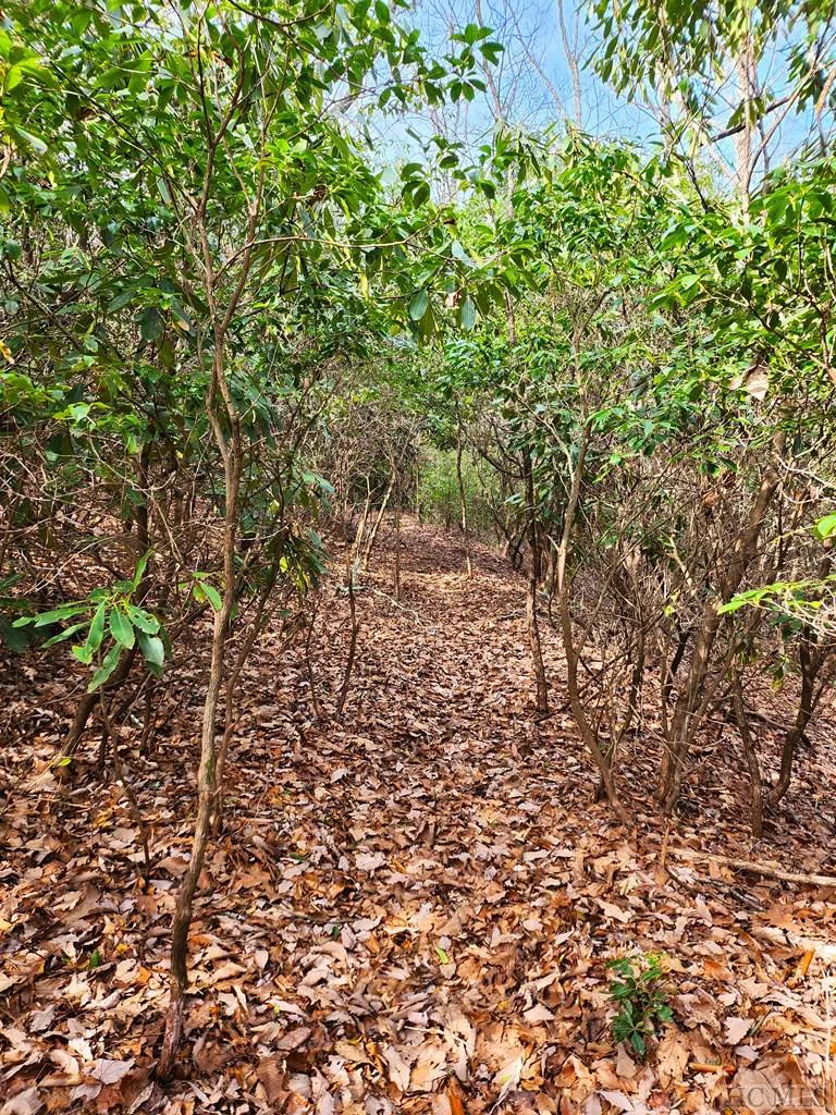 LS 24 Lakeside Trail Lake Toxaway, NC 28747