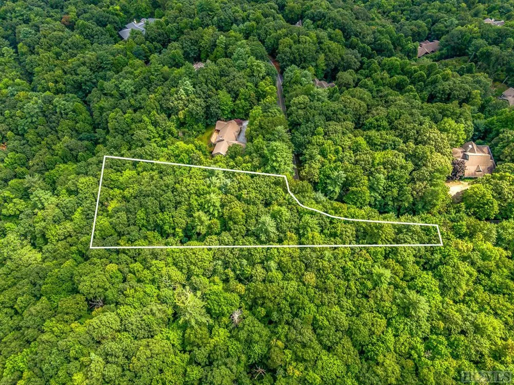 LS 24 Lakeside Trail Lake Toxaway, NC 28747