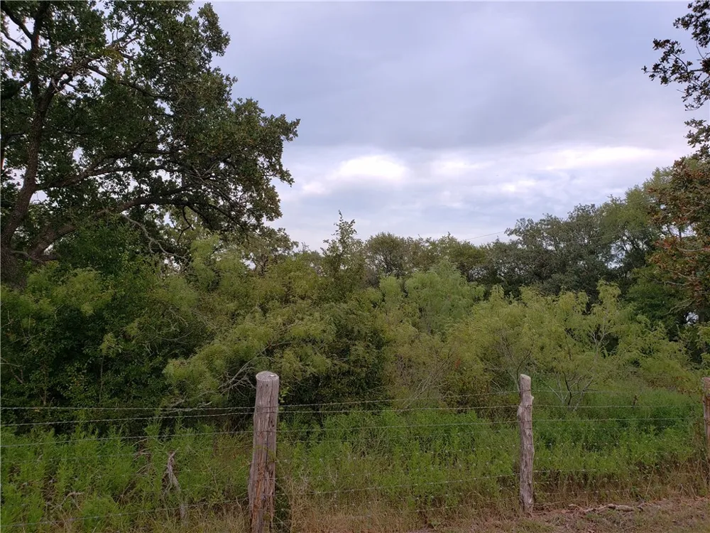 18901 Hog Eye Road #E Manor, TX 78653