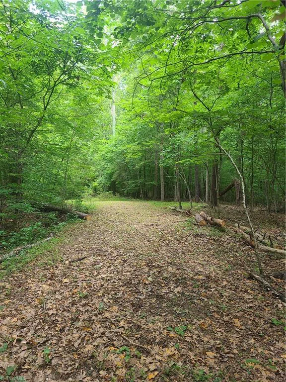 450 Crossing Creek Drive Belews Creek, NC 27009