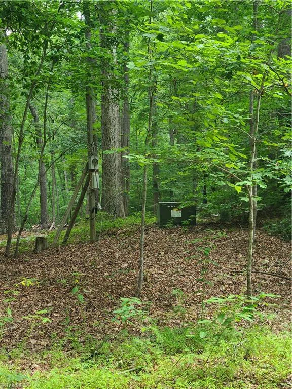 450 Crossing Creek Drive Belews Creek, NC 27009