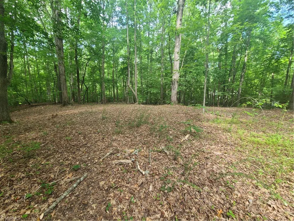 450 Crossing Creek Drive Belews Creek, NC 27009