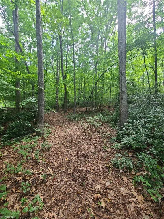 450 Crossing Creek Drive Belews Creek, NC 27009