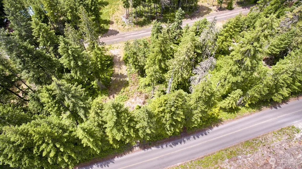 1 Lodgepole Lane Cougar, WA 98616