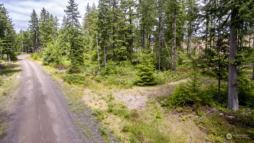 1 Lodgepole Lane Cougar, WA 98616