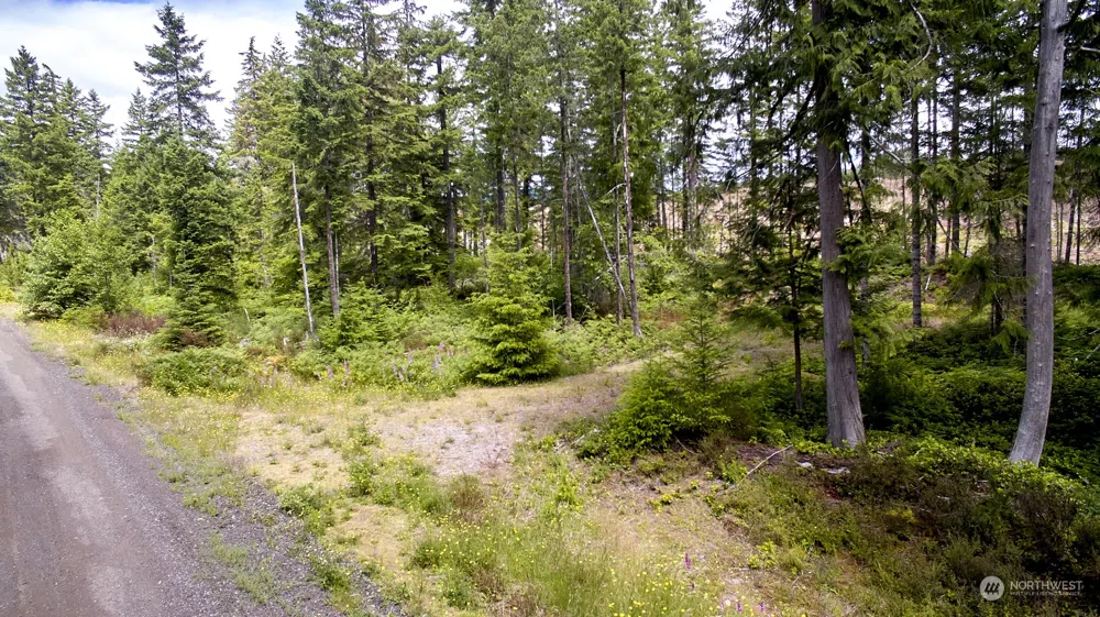 1 Lodgepole Lane Cougar, WA 98616