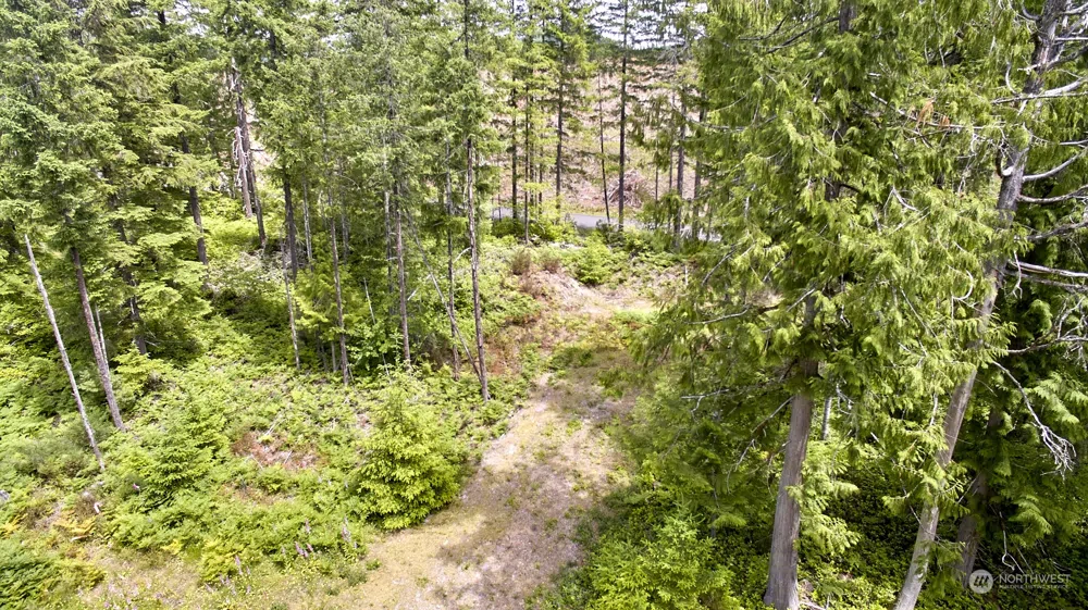 1 Lodgepole Lane Cougar, WA 98616