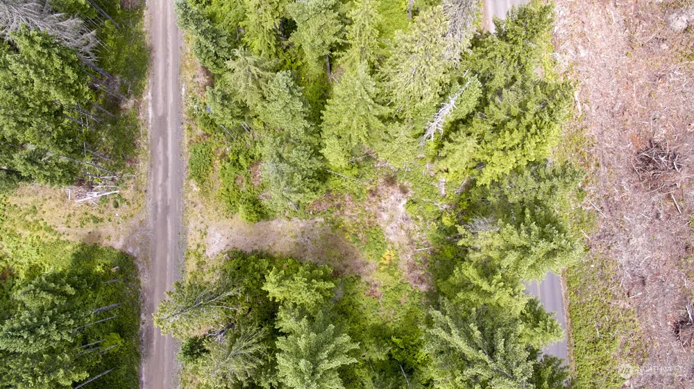 1 Lodgepole Lane Cougar, WA 98616